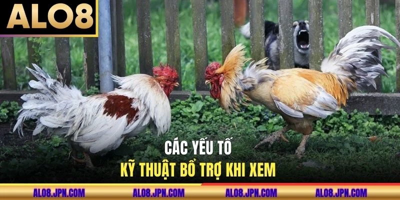 Các yếu tố kỹ thuật bổ trợ khi xem