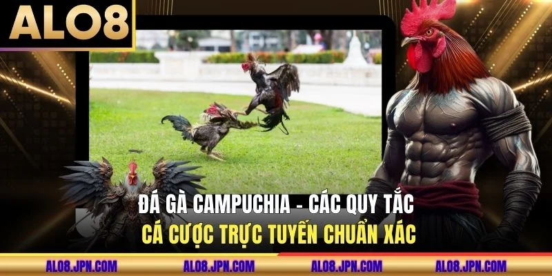 Đá Gà Campuchia - Các Quy Tắc Cá Cược Trực Tuyến Chuẩn Xác