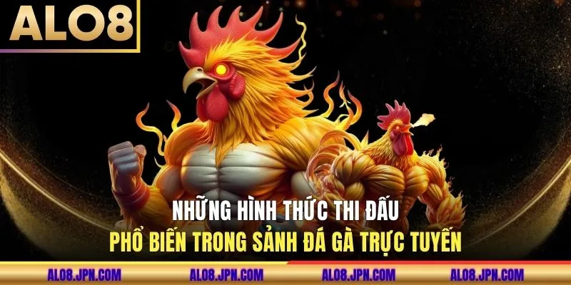 Những hình thức thi đấu phổ biến trong sảnh đá gà trực tuyến