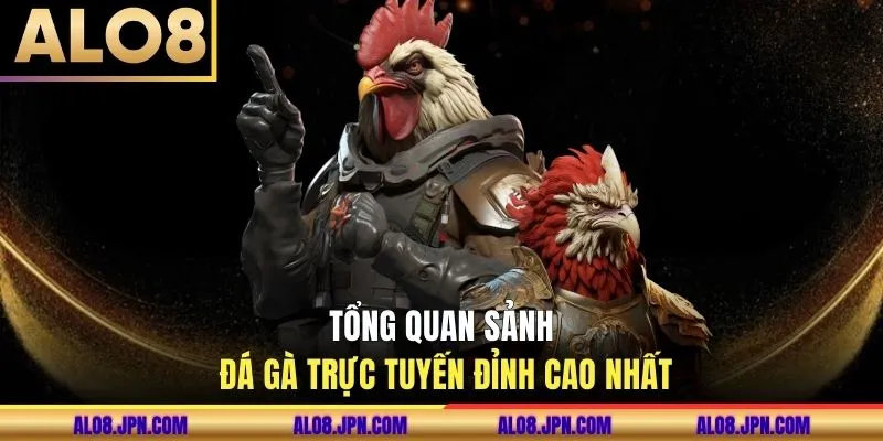 Tổng quan sảnh đá gà trực tuyến đỉnh cao nhất